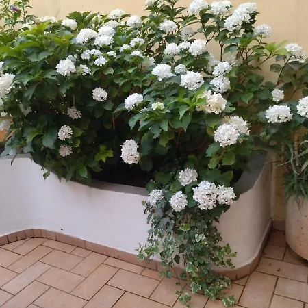 Affittacamere Gardenia Penzion