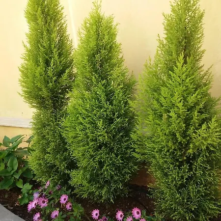 Affittacamere Gardenia * Acquarica del Capo